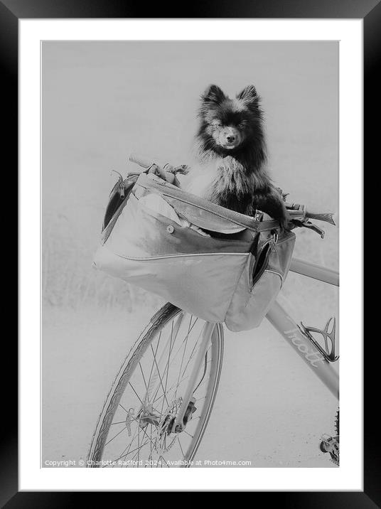 The Bike Ride Framed Mounted Print by Charlotte Radford