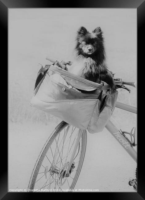 The Bike Ride Framed Print by Charlotte Radford