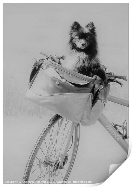 The Bike Ride Print by Charlotte Radford