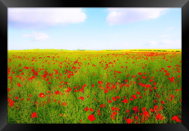 Poppy field Framed Print by Derek Daniel