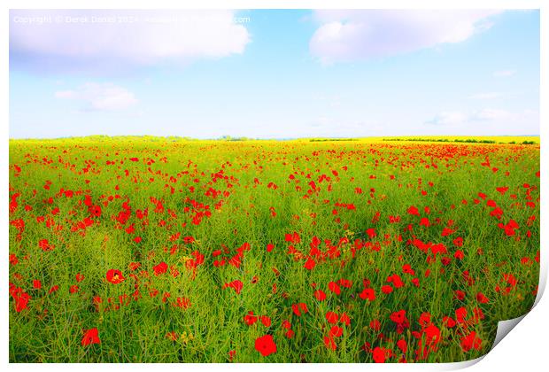 Poppy field Print by Derek Daniel