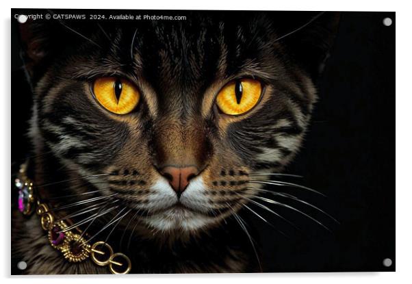TABBY CAT Acrylic by CATSPAWS 