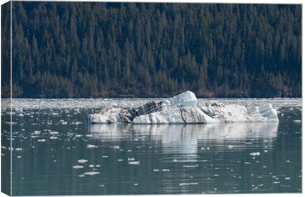 Strangely shaped growler (little iceberg) floating in College Fjord in Alaska, USA Canvas Print by Dave Collins
