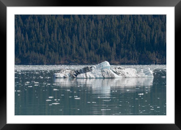 Strangely shaped growler (little iceberg) floating in College Fjord in Alaska, USA Framed Mounted Print by Dave Collins