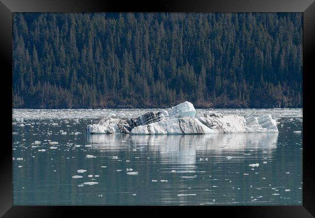 Strangely shaped growler (little iceberg) floating in College Fjord in Alaska, USA Framed Print by Dave Collins