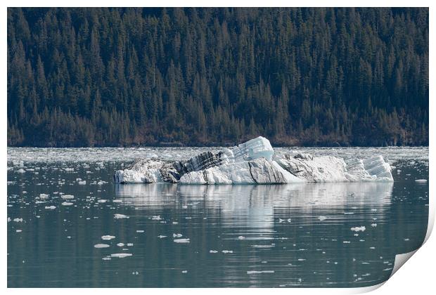 Strangely shaped growler (little iceberg) floating in College Fjord in Alaska, USA Print by Dave Collins