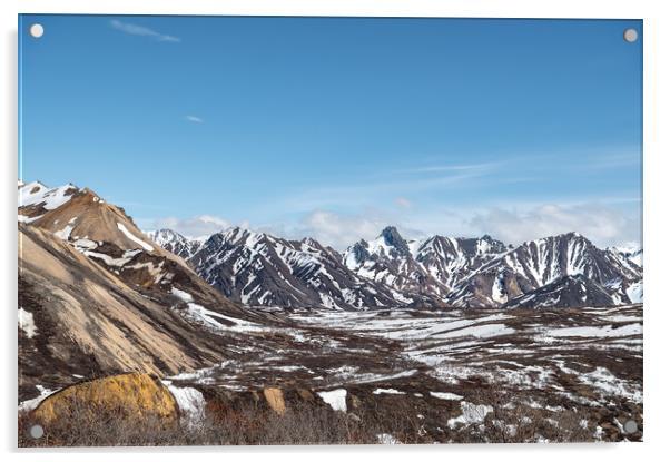 Partly snow covered tundra during spring in Denali National Park, Alaska, USA Acrylic by Dave Collins