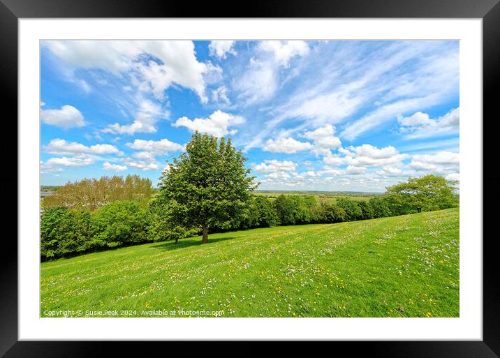 Views of Southgate Moor and Somerset Levels from B Framed Mounted Print by Susie Peek