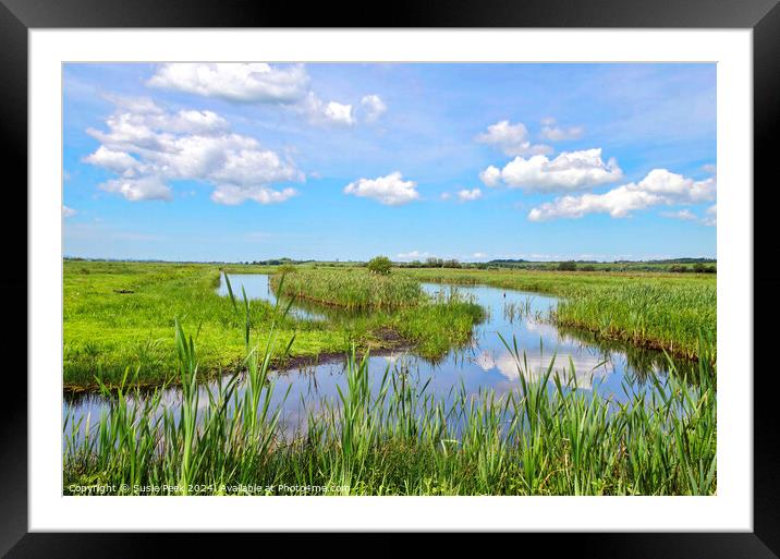 Greylake Nature Reserve Somerset England Framed Mounted Print by Susie Peek