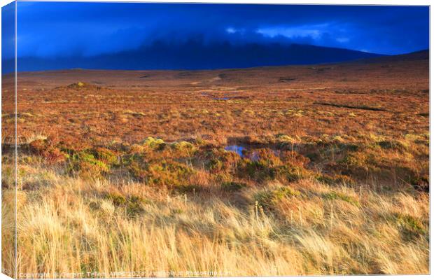 Moorland, Sutherland, Northern Scotland UK Canvas Print by Geraint Tellem ARPS
