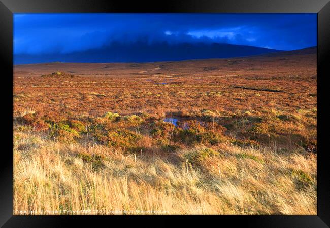 Moorland, Sutherland, Northern Scotland UK Framed Print by Geraint Tellem ARPS