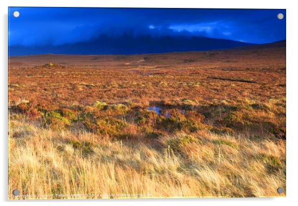 Moorland, Sutherland, Northern Scotland UK Acrylic by Geraint Tellem ARPS