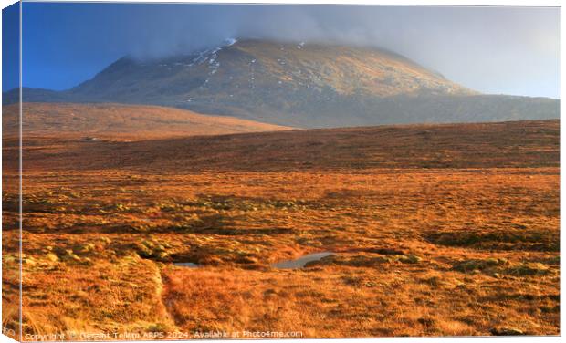 Mountain and moorland, Sutherland, Northern Scotland Canvas Print by Geraint Tellem ARPS
