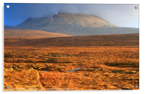 Mountain and moorland, Sutherland, Northern Scotland Acrylic by Geraint Tellem ARPS