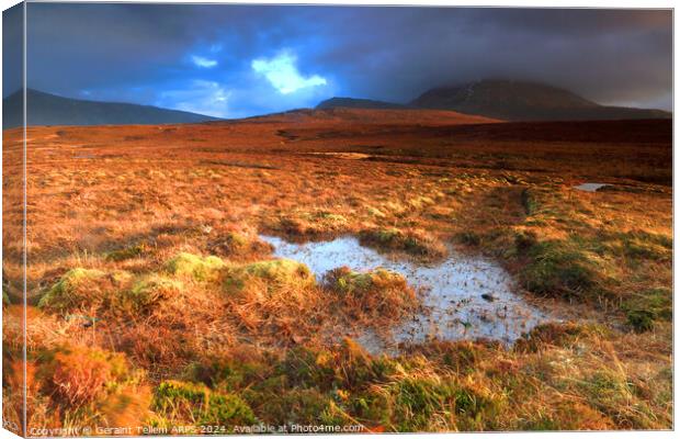 Moorland and mountain, Sutherland, Northern Scotland UK Canvas Print by Geraint Tellem ARPS