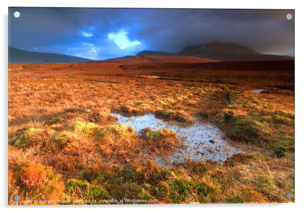 Moorland and mountain, Sutherland, Northern Scotland UK Acrylic by Geraint Tellem ARPS