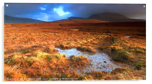 Moorland and mountain, Sutherland, Northern Scotland UK Acrylic by Geraint Tellem ARPS