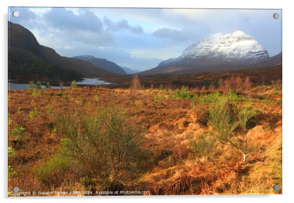 Liathach and Glen Torridon, Highland, Scotland Acrylic by Geraint Tellem ARPS