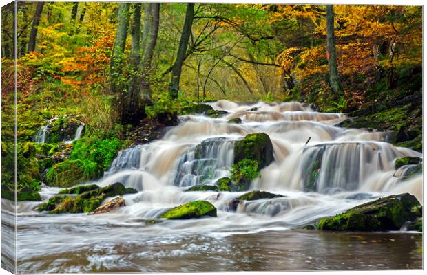 Waterfall in Autumn Forest Canvas Print by Arterra 