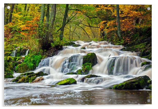 Waterfall in Autumn Forest Acrylic by Arterra 