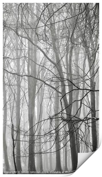 Woodland mist monochrome  Print by Simon Johnson