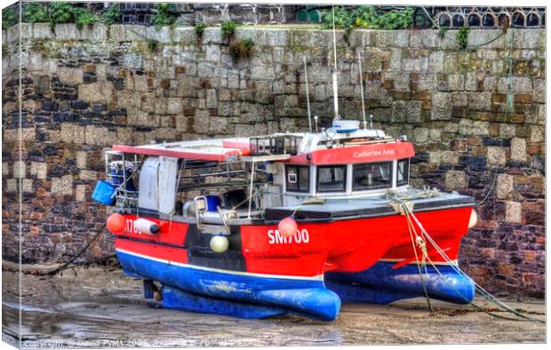 Catherine Anne Boat Newquay Harbour  Canvas Print by David Pyatt