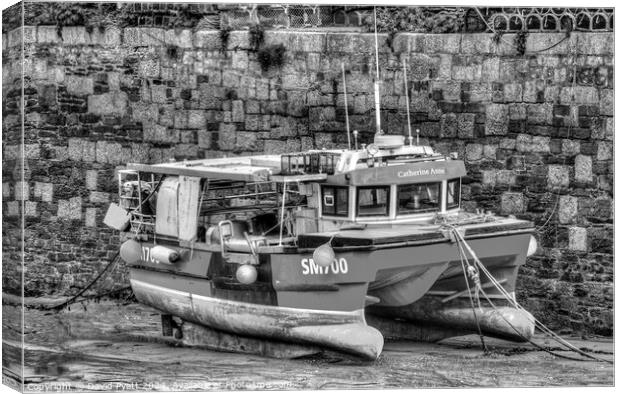Catherine Anne Fishing Boat Newquay Harbour  Canvas Print by David Pyatt
