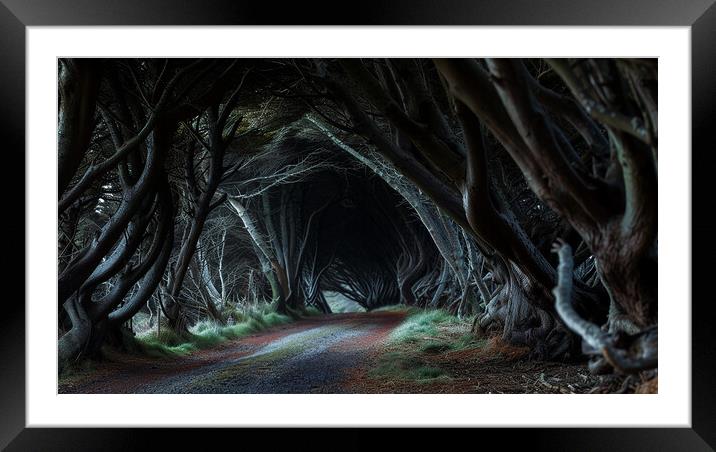 The Dark Hedges Framed Mounted Print by Steve Smith