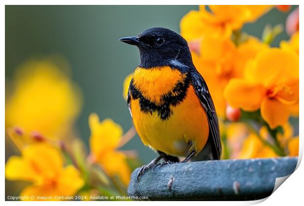 A yellow and black bird confidently sits on top of a sturdy metal fence. Print by Joaquin Corbalan