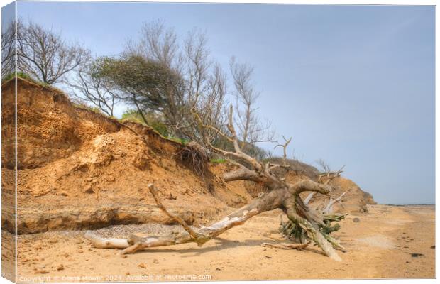 Walton on the Naze Coastal Erosion Canvas Print by Diana Mower