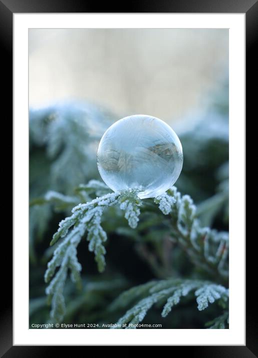Frozen bubble Framed Mounted Print by Elyse Hunt