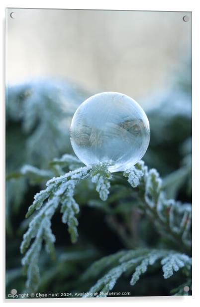 Frozen bubble Acrylic by Elyse Hunt