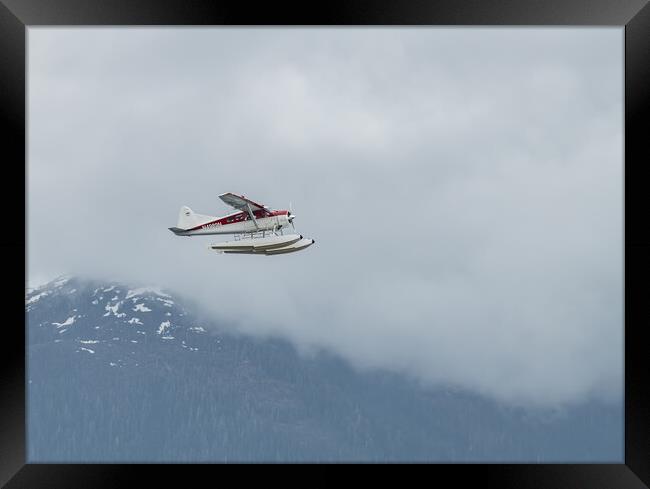 DeHavilland DHC-2 Float Plane Flying low past cloud covered mountains Alaska, USA Framed Print by Dave Collins