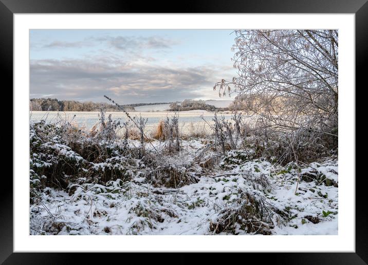 Snow covered fields and trees with snow on the distant hills in the Scottish Borders, United Kingdom Framed Mounted Print by Dave Collins