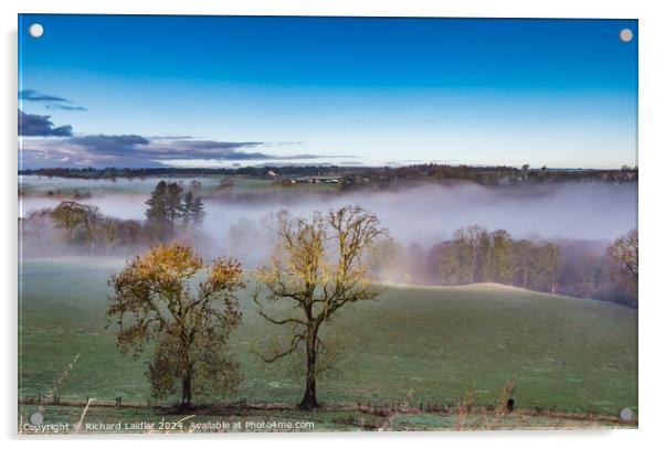 Misty Tees at Ovington Acrylic by Richard Laidler