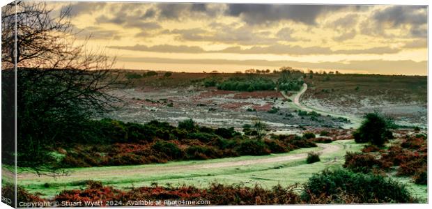 Ashley Walk, Godshill, New Forest Canvas Print by Stuart Wyatt