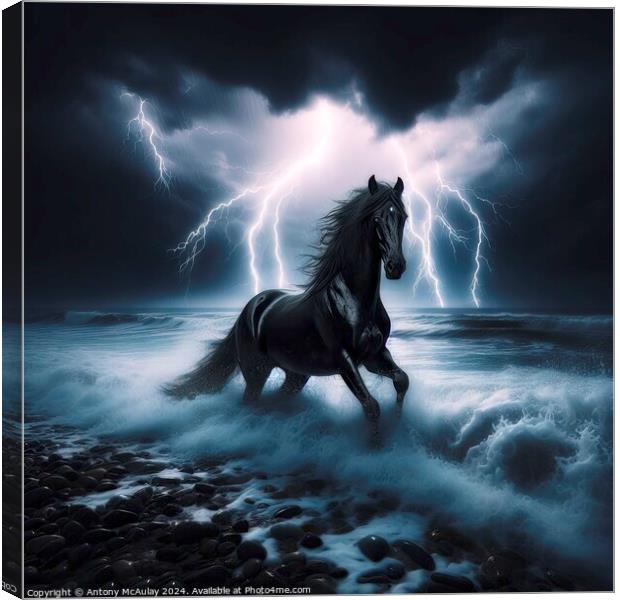 Black Stallion in a Storm Canvas Print by Antony McAulay