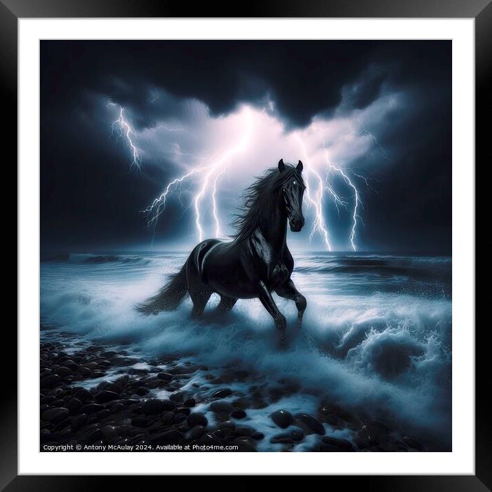 Black Stallion in a Storm Framed Mounted Print by Antony McAulay