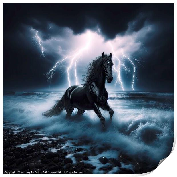 Black Stallion in a Storm Print by Antony McAulay
