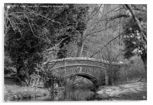 Bridge through the trees Acrylic by Justin Lowe