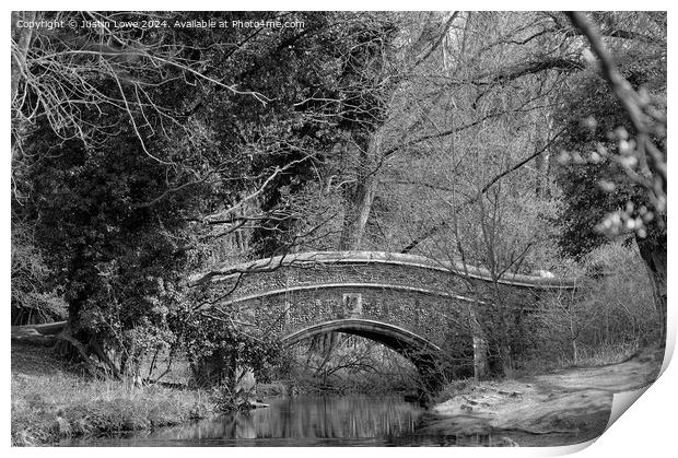 Bridge through the trees Print by Justin Lowe