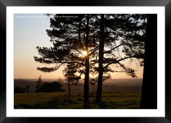 Setting sun through the trees Framed Mounted Print by Justin Lowe