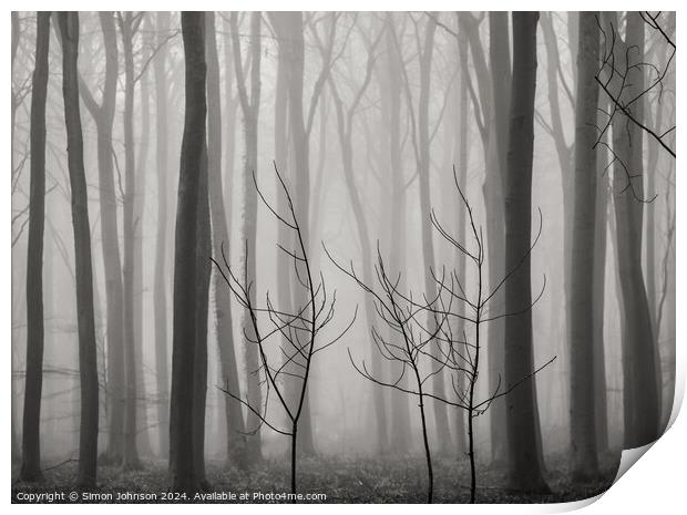 Misty woodland Print by Simon Johnson