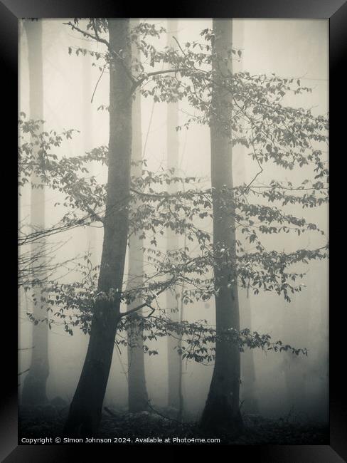 Trees in Mist monochrome  Framed Print by Simon Johnson
