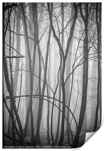 Woodland form pattern and texture Print by Simon Johnson