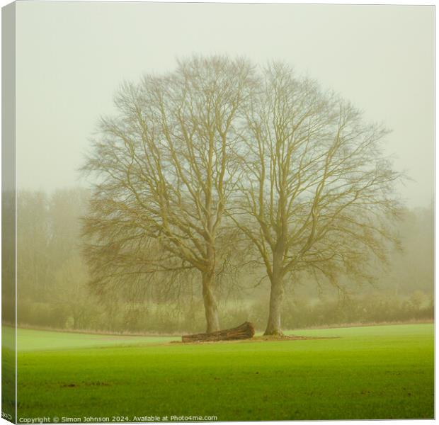 soft light and trees Canvas Print by Simon Johnson