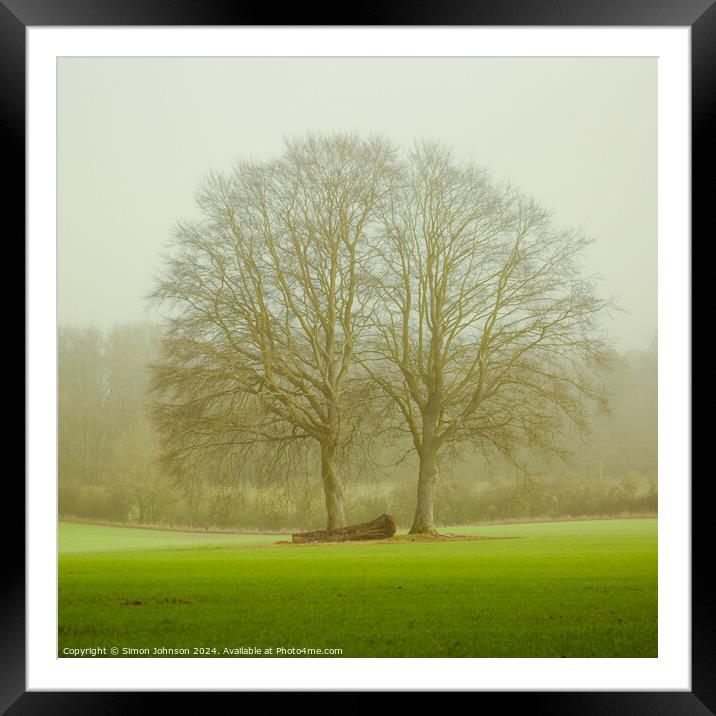 soft light and trees Framed Mounted Print by Simon Johnson