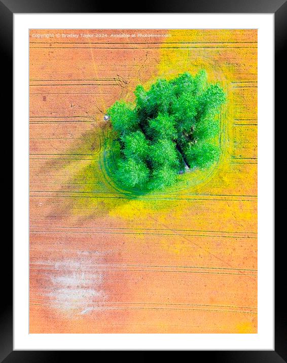 Colourful Field of Crops Framed Mounted Print by Bradley Taylor