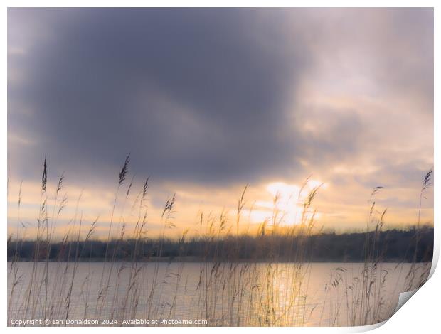 Winter Sun over a Leicestershire Lake Print by Ian Donaldson