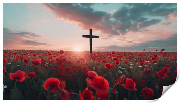 Poppy Field Print by Airborne Images